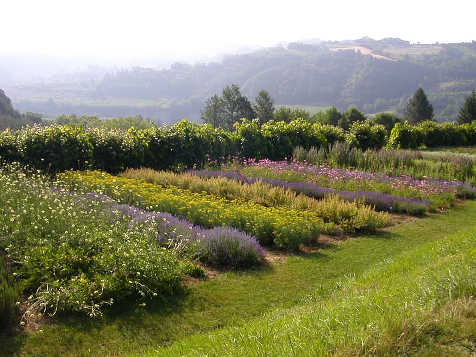 appunti per un terzo paesaggio 2021                                                  la Rigenerazione/TerRapie                                                             Casola è una favola